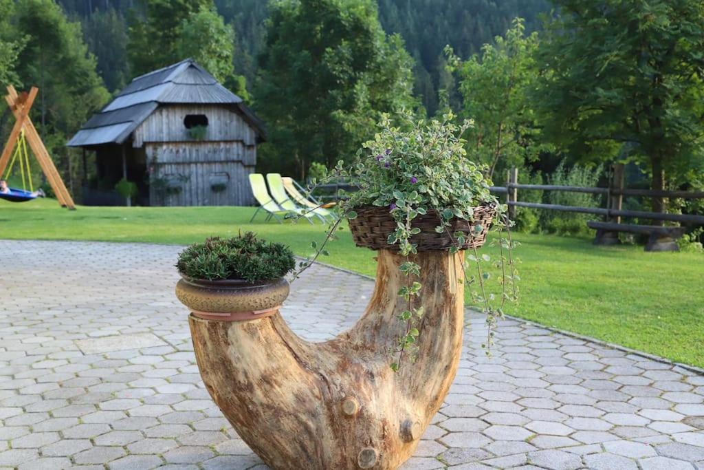 Tourist Farm Kladje *