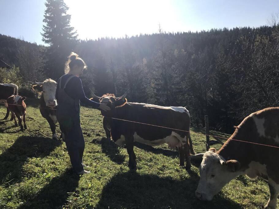 Tourist Farm Kladje * Ljubno