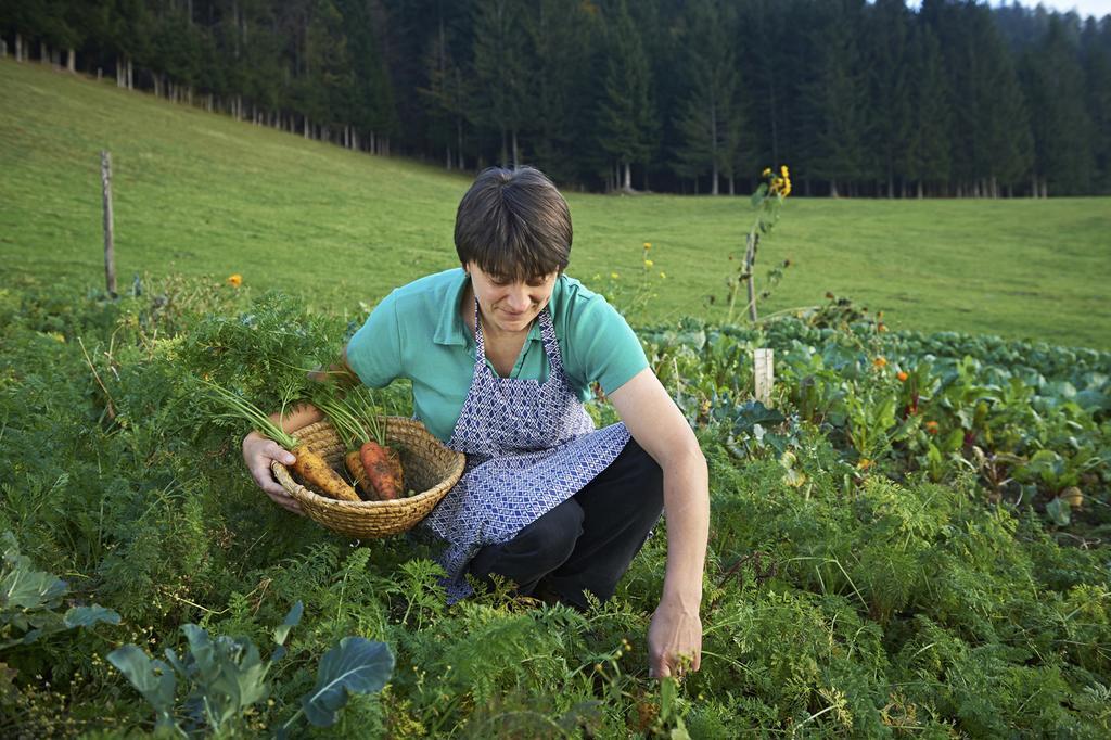 Gospodarstwo agroturystyczne Tourist Farm Kladje *