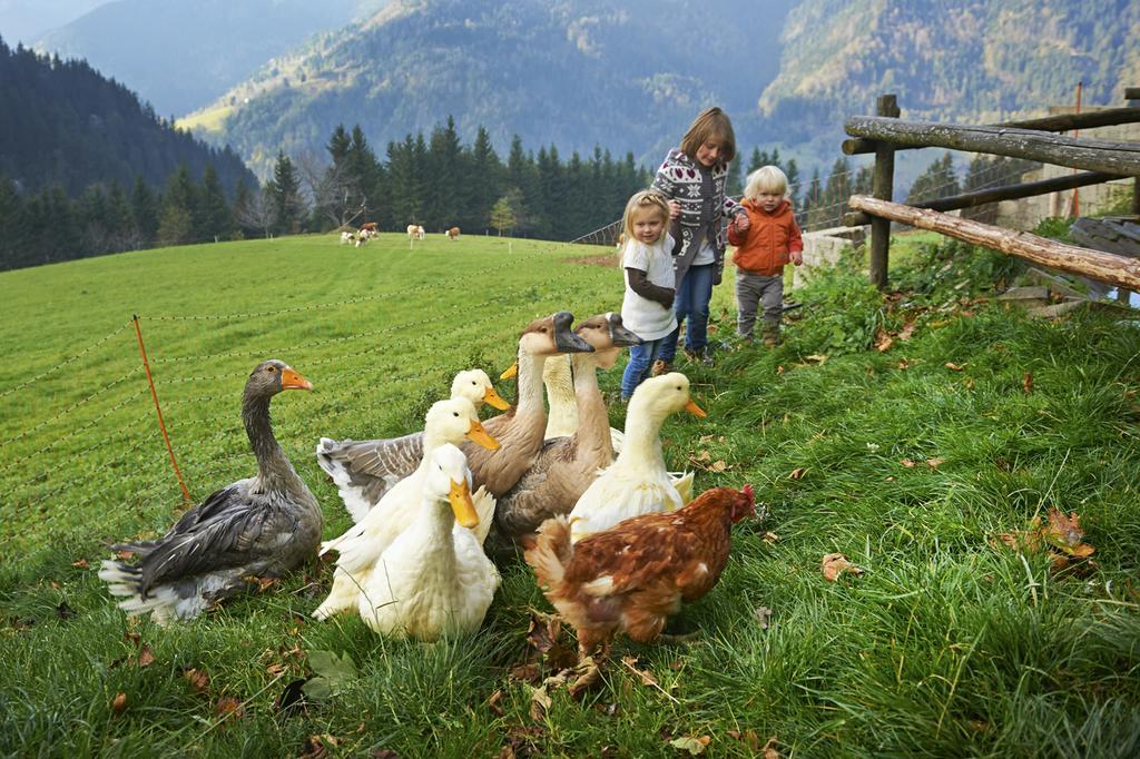 Gospodarstwo agroturystyczne Tourist Farm Kladje *